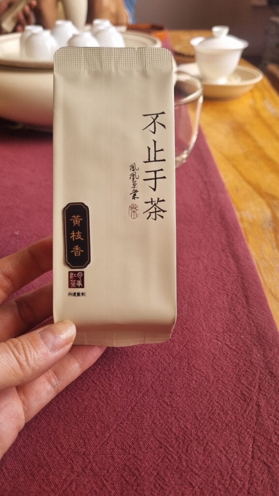 Traditional Chaozhou tea ceremony tasting authentic gongfu cha loose leaf tea personal experience heritage travel