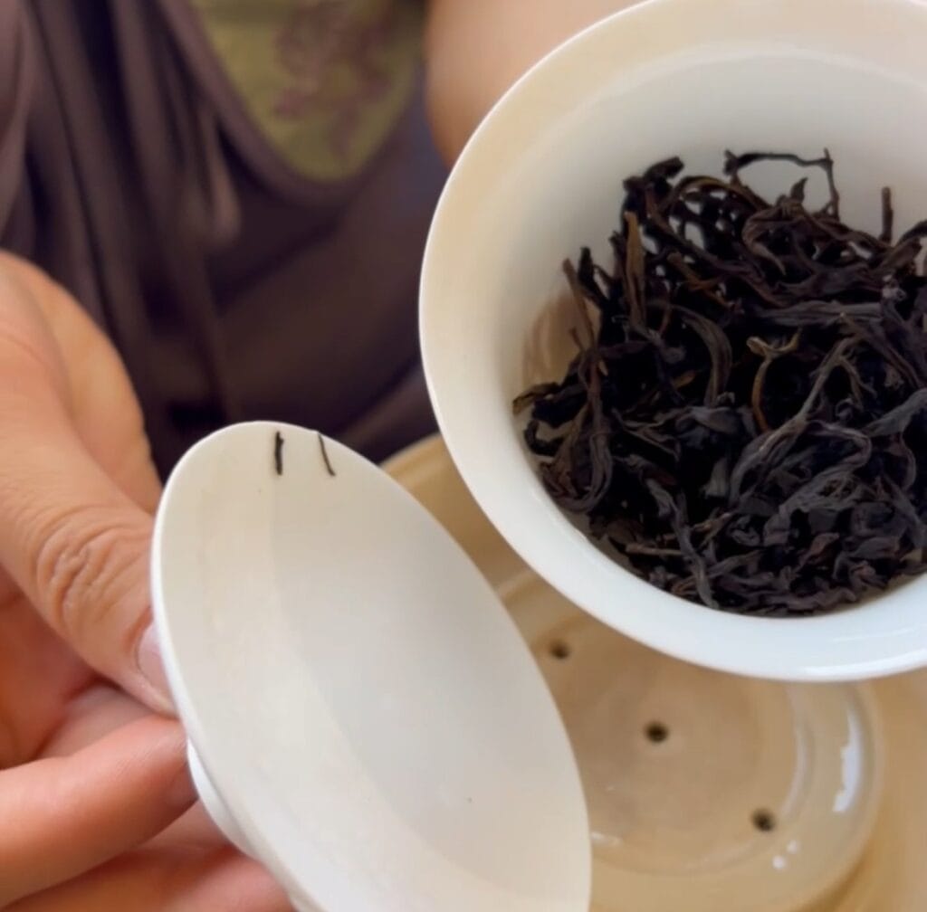Close-up traditional Chaozhou tea pouring technique gongfu cha precision ceremony detailed brewing method